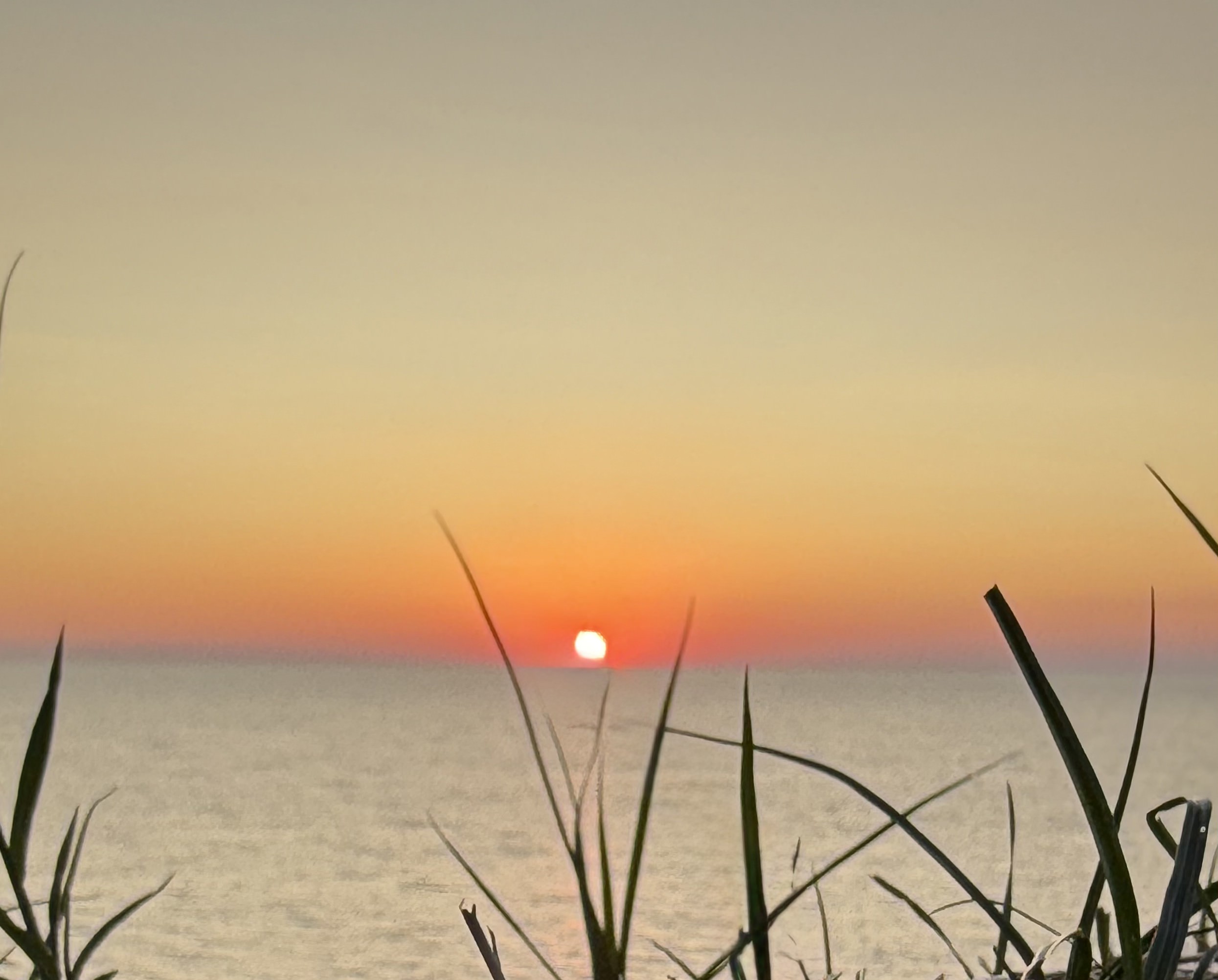 A scene photographed by Matthew Roxas